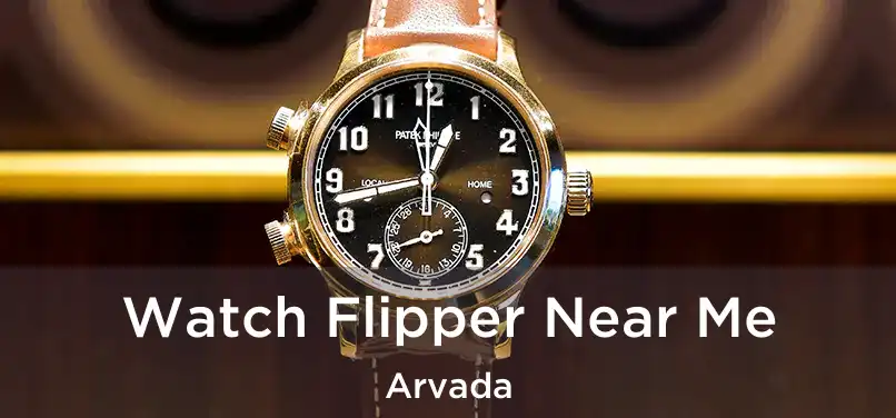 Watch Flipper Near Me Arvada